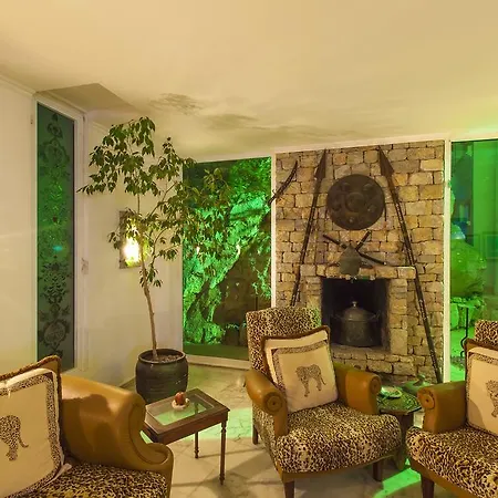 Olimpos Oda ve Kahvaltı