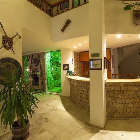 Bed and breakfast Olimpos 4*