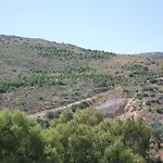 Olimpos דטקה
