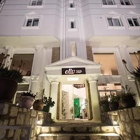 住宿加早餐酒店 Olimpos 4*